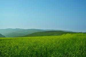 八亩土地家家有是什么意思