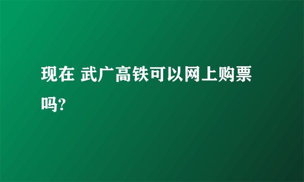 现在 武广高铁可以网上购票吗?