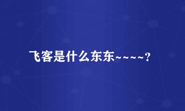 飞客是什么东东~~~~？