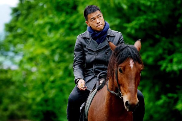 王挺主演的电视剧全部