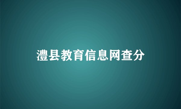澧县教育信息网查分