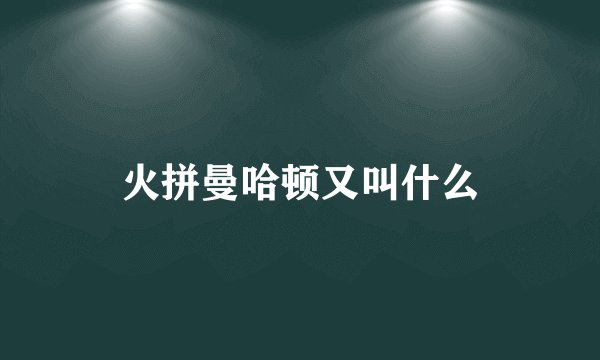 火拼曼哈顿又叫什么