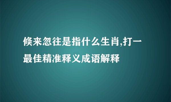 倏来忽往是指什么生肖,打一最佳精准释义成语解释