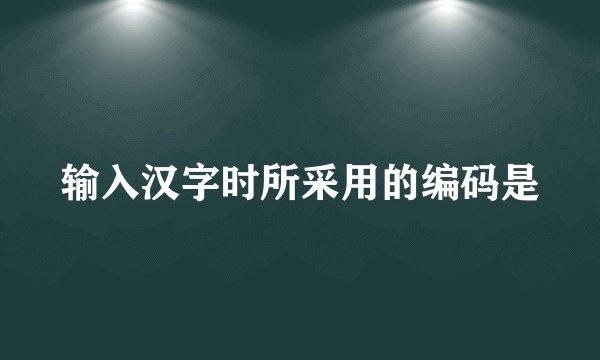输入汉字时所采用的编码是