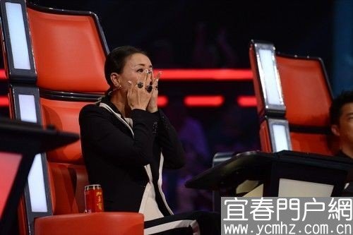 中国猛声音的介绍