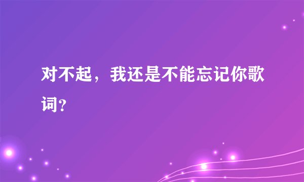 对不起，我还是不能忘记你歌词？
