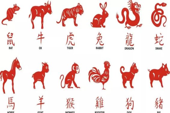 十二生肖里面呼应不灵的动物是什么?