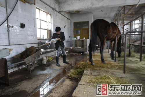 长春生活网的介绍