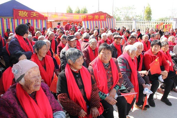 黄花紫菊傍篱落摘菊泛酒爱芳新是什么节日