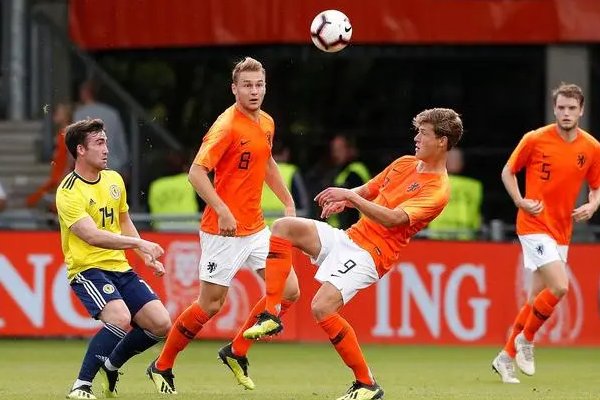 14年世界杯荷兰阵容