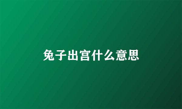 兔子出宫什么意思
