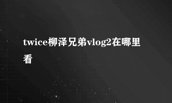 twice柳泽兄弟vlog2在哪里看