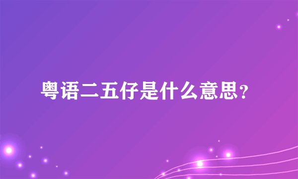 粤语二五仔是什么意思？