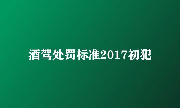 酒驾处罚标准2017初犯