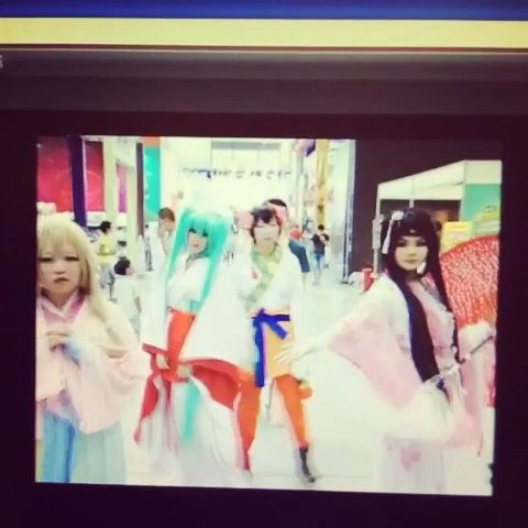 荒野四大美女的基本介绍