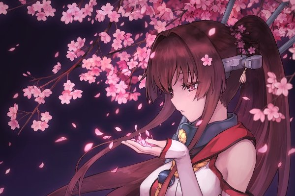 樱花动漫官方正版入口是什么