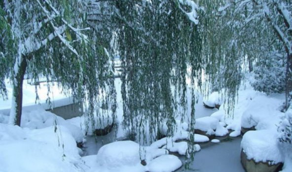 北京等6省份部分地区大雪，局地暴雪，这种天气下出行需要警惕什么？