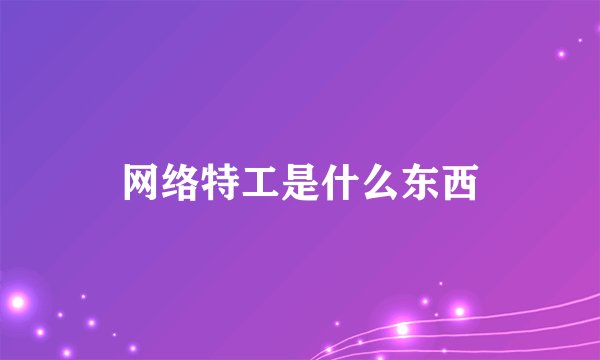 网络特工是什么东西