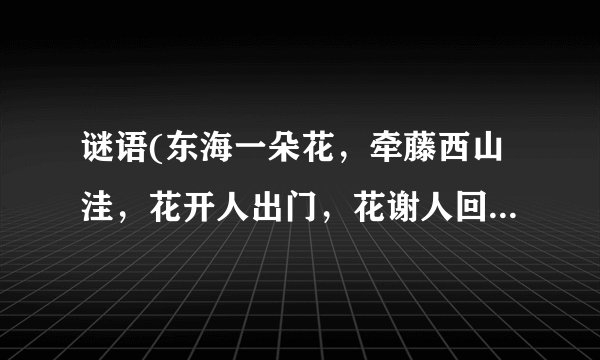 谜语(东海一朵花，牵藤西山洼，花开人出门，花谢人回家)谜底是什么
