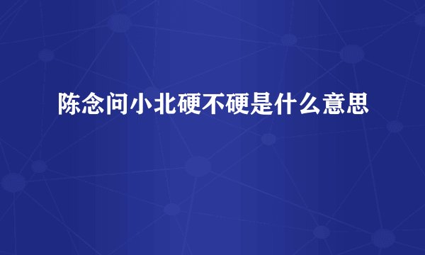 陈念问小北硬不硬是什么意思
