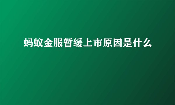 蚂蚁金服暂缓上市原因是什么