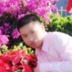 芭比的爱恋的小说标题