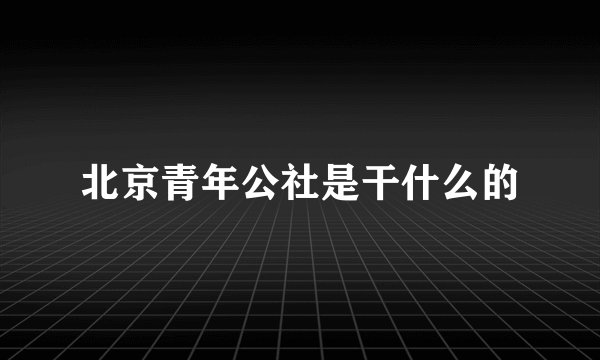 北京青年公社是干什么的