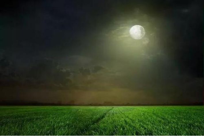 描写乡村月夜的情景
