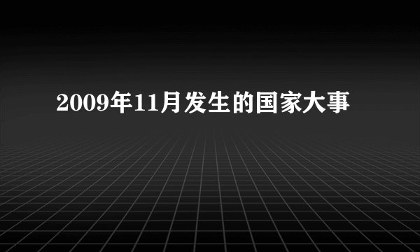 2009年11月发生的国家大事