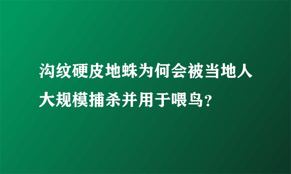沟纹硬皮地蛛为何会被当地人大规模捕杀并用于喂鸟？