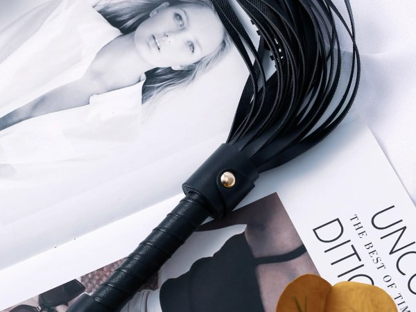 训诫管教分腿姜条的内容