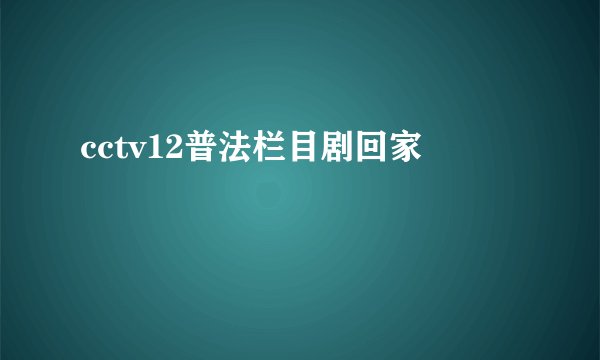 cctv12普法栏目剧回家