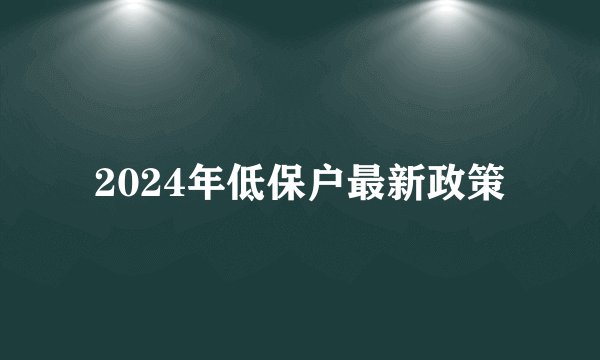 2024年低保户最新政策