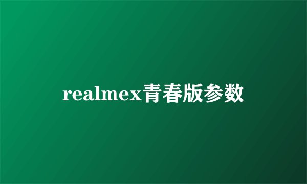 realmex青春版参数
