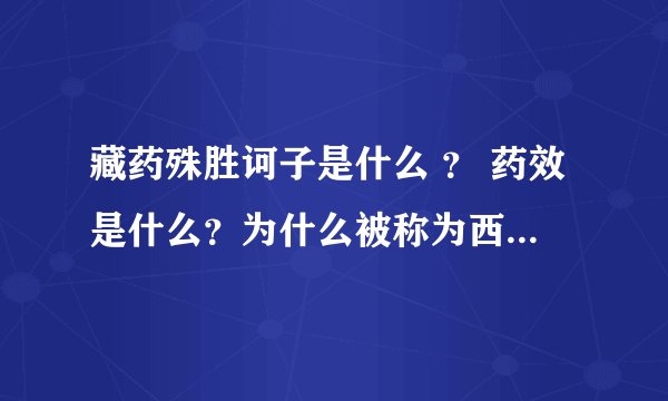 藏药殊胜诃子是什么 ？ 药效是什么？为什么被称为西藏最珍贵的药？