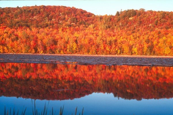 描写秋天的词语有哪些？