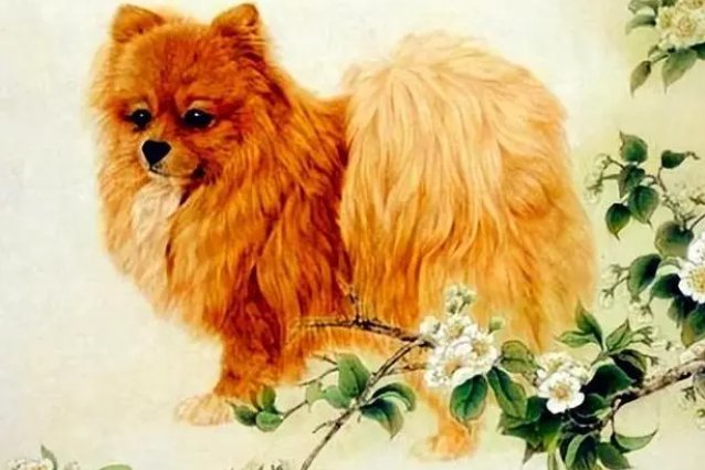 反哺之私什么动物