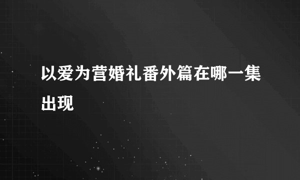 以爱为营婚礼番外篇在哪一集出现