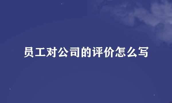员工对公司的评价怎么写