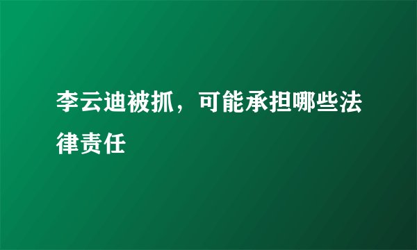 李云迪被抓，可能承担哪些法律责任