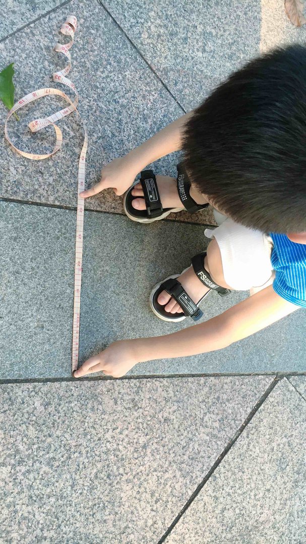 三十公分多长？