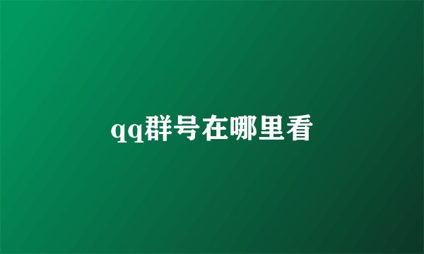 qq群号在哪里看