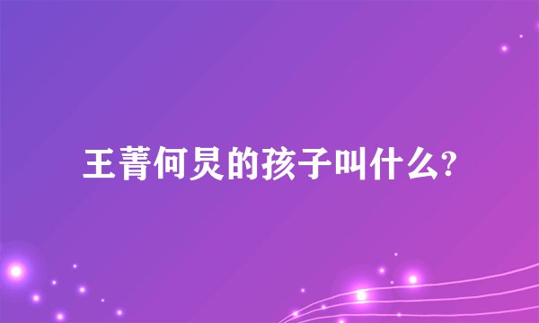 王菁何炅的孩子叫什么?
