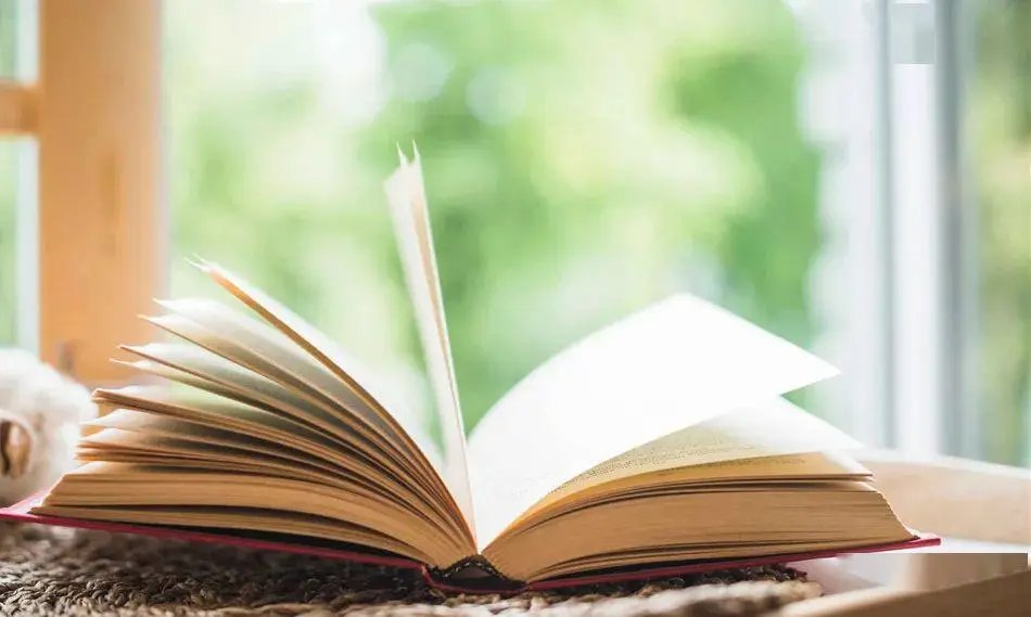 细写开小车车的小说