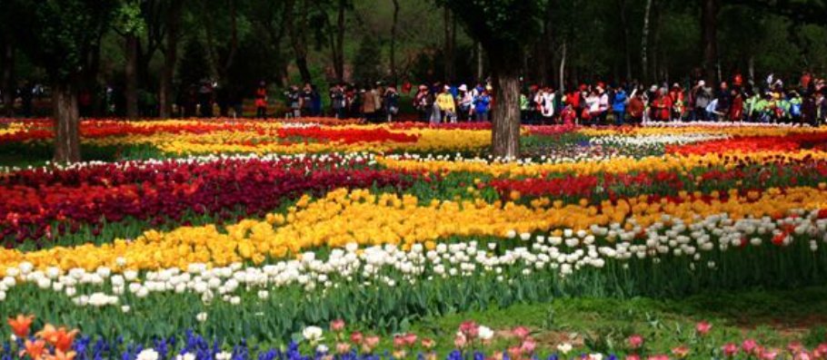 满园春打一数字