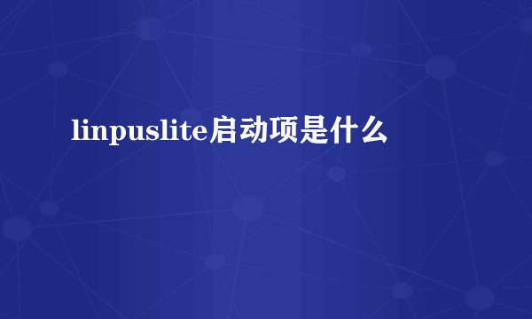 linpuslite启动项是什么