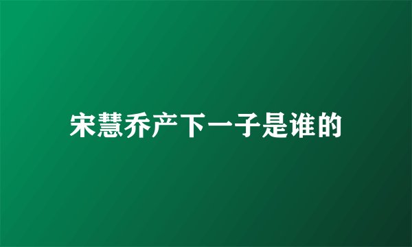 宋慧乔产下一子是谁的