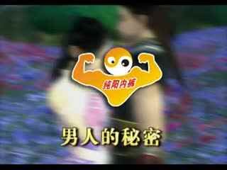 神奇七侠的介绍