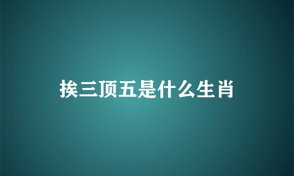 挨三顶五是什么生肖