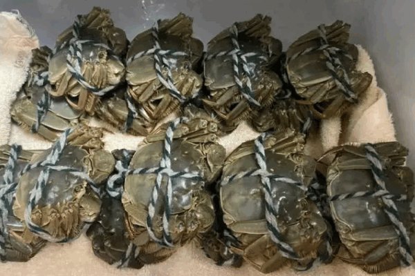 阳澄湖大闸蟹品牌排名